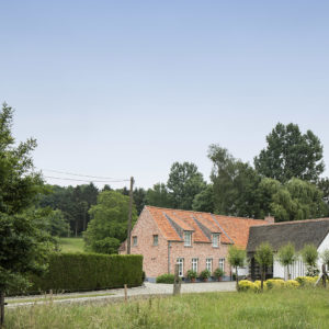 Van Lippevelde